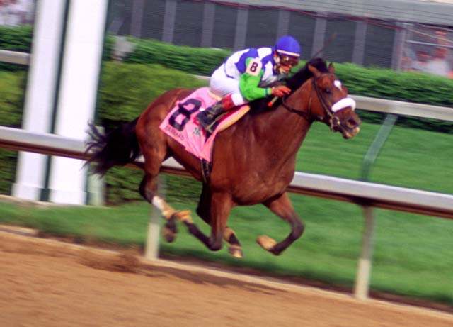 NEW PHOTOS ON TLT: Barbaro Wins 132th Kentucky Derby