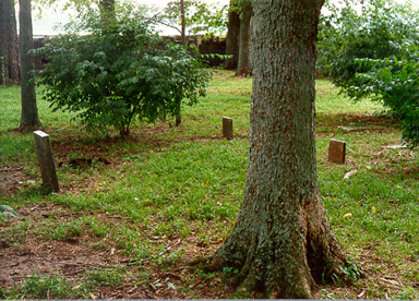 These four graves in the 
second row (with your back to the iron gate) represent Robert Wickliffe's second wife's immediate 
family. All the gravestones are toppled, and you can only see in the upper part of the picture, 
two footstones still standing.